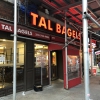 TAL BAGELS